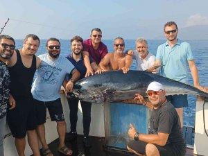 İ̇zmir’de 2 Metrelik Orkinos Yakalandı