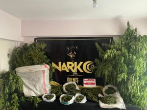 Evinde 10 Kilogram Esrarla Yakalanan Zehir Taciri Tutuklandı