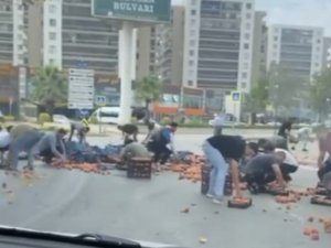 Bursa’da Kamyonetten Dökülen Şeftaliler İçin Herkes Seferber Oldu