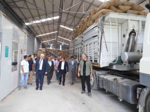 Valiler Atay Ve Kılıç, Fındık Alım Merkezini İnceledi