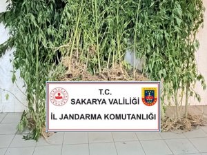 Jandarma Uyuşturucuya Geçit Vermiyor: 2 Gözaltı
