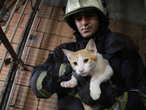 Önce Kurtarıldı, Sonra Kapı Kapı Sahibi Arandı