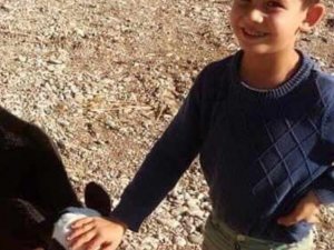Köpeklerin Saldırısında Ağır Yaralanan Çocuk Gözlerini Açtı