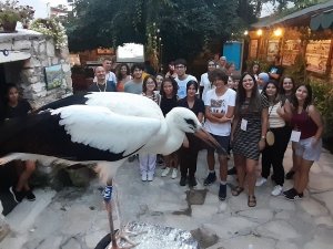 Ölmek Üzereyken Bulunan Leylek Yavrusu Sağlığına Kavuştu