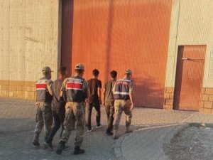 Kilis’te Hırsızlık Zanlısı 3 Kişi Tutuklandı