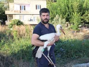 Adını "Leylektar" Koydu, Yorgun Düşen Leyleği İki Gün Misafir Etti