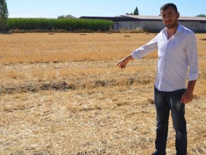 Köpeklerin Saldırısından Umut’u Kurtaran Sağlık Çalışanı Konuştu
