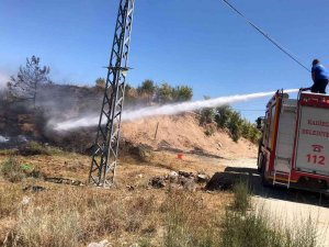 Otluk Alanda Çıkan Yangın Orman Sıçramadan Söndürüldü