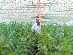 Başkan Büyükakın: “Yıl Sonuna Kadar Tarıma Verilen Destek 255 Milyon Tl’yi Bulacak "