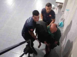 Antalya’da İtfaiyeden Bodrumda Yaşayan ’Şişman Köpek’ Operasyonu