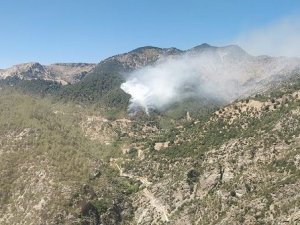 Kahramanmaraş’ta Orman Yangını