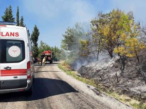 Osmaniye’de Orman Yangını Kontrol Altına Alındı