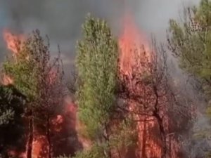 Kahramanmaraş’ta İkinci Orman Yangını