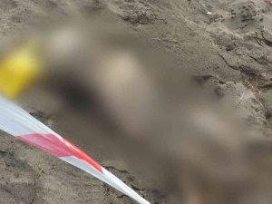 Samsun’da Sahilde İnsan İskeleti Bulundu
