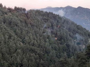 Kahramanmaraş’taki Orman Yangını Kısmen Kontrol Altına Alındı
