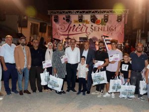 Mürsel, Kara İ̇ncir Şenliği İle Renklendi