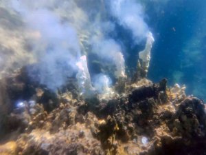 Van Gölü’nün Derinliklerinde Dumana Benzer Maden Suyu Çıkışları Görüntülendi