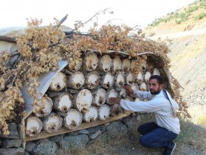 Yaylalarda Huzur Ortamının Oluşmasıyla Köylüler Bal Üretiyor