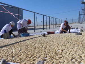 Cezaevi, Üretim Tesisi Oldu