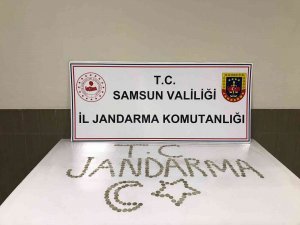Jandarma Selçuklu Dönemine Ait 286 Adet Sikke Ele Geçirdi: 3 Gözaltı