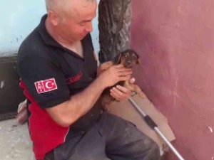Duvar Kırıldı, Evlerin Arasına Sıkışan Köpek 3 Saatlik Çalışma İle Kurtarıldı