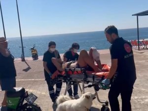 Kendisi İçin Bıçaklanan Sahibine Köpekten Duygulandıran Vefa