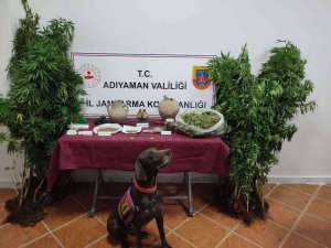 Jandarma Hem Tarihi Eser Hem Uyuşturucu Ele Geçirdi