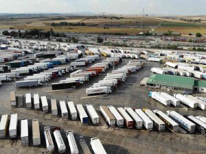 Bulgaristan’da Laboratuvar Krizi: Tırlar Günlerdir Edirne Sınırında Bekliyor