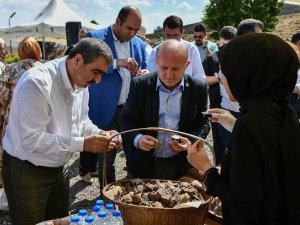 Abb’nin Yetişmesinde Teknik Destek Verdiği Aronya İkinci Hasadını Verdi