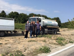 İ̇lkadım’dan Can Dostlara Su Ve Mama Takviyesi