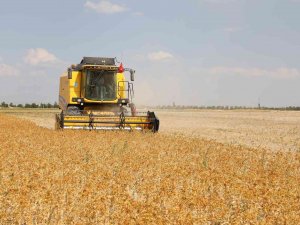 Başkan Altay: “Kurak Arazilerde Aspir Üretiminin Yaygınlaşması İçin Çalışıyoruz”