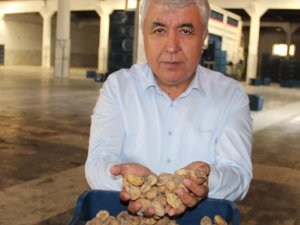 Tari̇ş Kuru İncir Fiyatları Belli Oldu