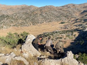 Yasadışı Avda Kullanılan Gümeleri Dronla Bulup İmha Ettiler