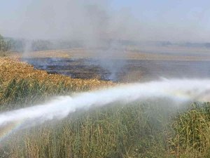 Osmaniye’de Çıkan Anız Yangını Söndürüldü