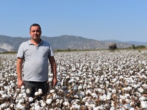 Başkan Çondur: “Fiyatlarla Birlikte Pamuk Ekim Alanları Da Arttı”