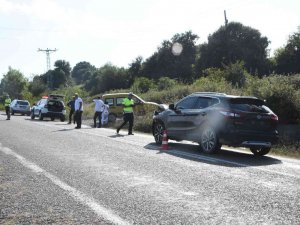 Sinop’ta Aracın Çarptığı Büyükbaş Hayvan Telef Oldu