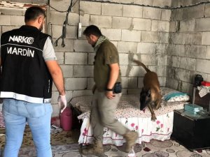 Mardin’de Polis Zehir Tacirlerine Göz Açtırmıyor