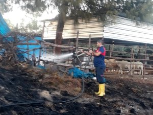 Otluk Alanda Çıkan Yangın Ağıla Ulaşmadan Söndürüldü