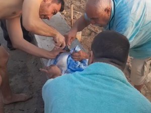 Misinaya Takılan Martı Özgürlüğüne Böyle Kavuştu
