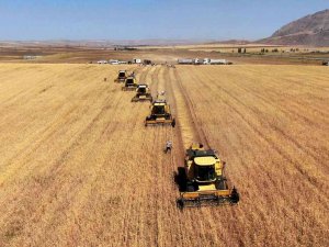 Sivaslı Çiftçiler Teşvikin Uzatılmasını İstiyor