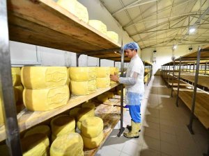 İ̇zmirli Üretici Terra Madre Anadolu İle Dünyaya Açılıyor