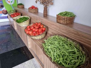 Akyurt Fasulyesi’nin Üretimi Artırılacak