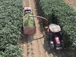 10 Yaşındaki Çocuk İnternette İzlediği Video İle Ailesinin Hayatını Değiştirdi