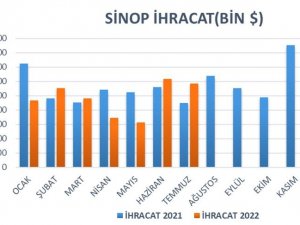 Sinop’ta Temmuz Ayında İhracat Yüzde 31 Arttı