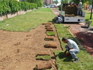 Yeşilyurt Belediyesi, Rulo Çim Üretiminde Hedefleri Aştı