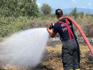 Kabak Tarlasında Yangın Çıktı