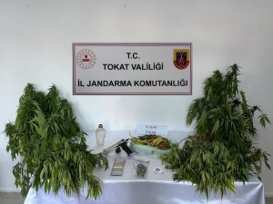 Ormana Ekti, Yakayı Ele Verdi