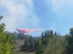 Antalya’da Çıkan Orman Yangını Kısmen Kontrol Altına Alındı