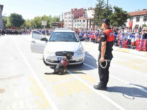 Jandarmanın Eğitimli Köpekleri "Garip" Ve "Testi"nin Gösterileri Büyük Alkış Aldı