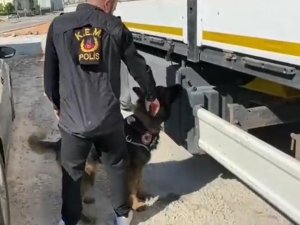 Gübre Çuvallarının Arasında ’Kaçak Sigara’ Sevkiyatına Polis Darbesi